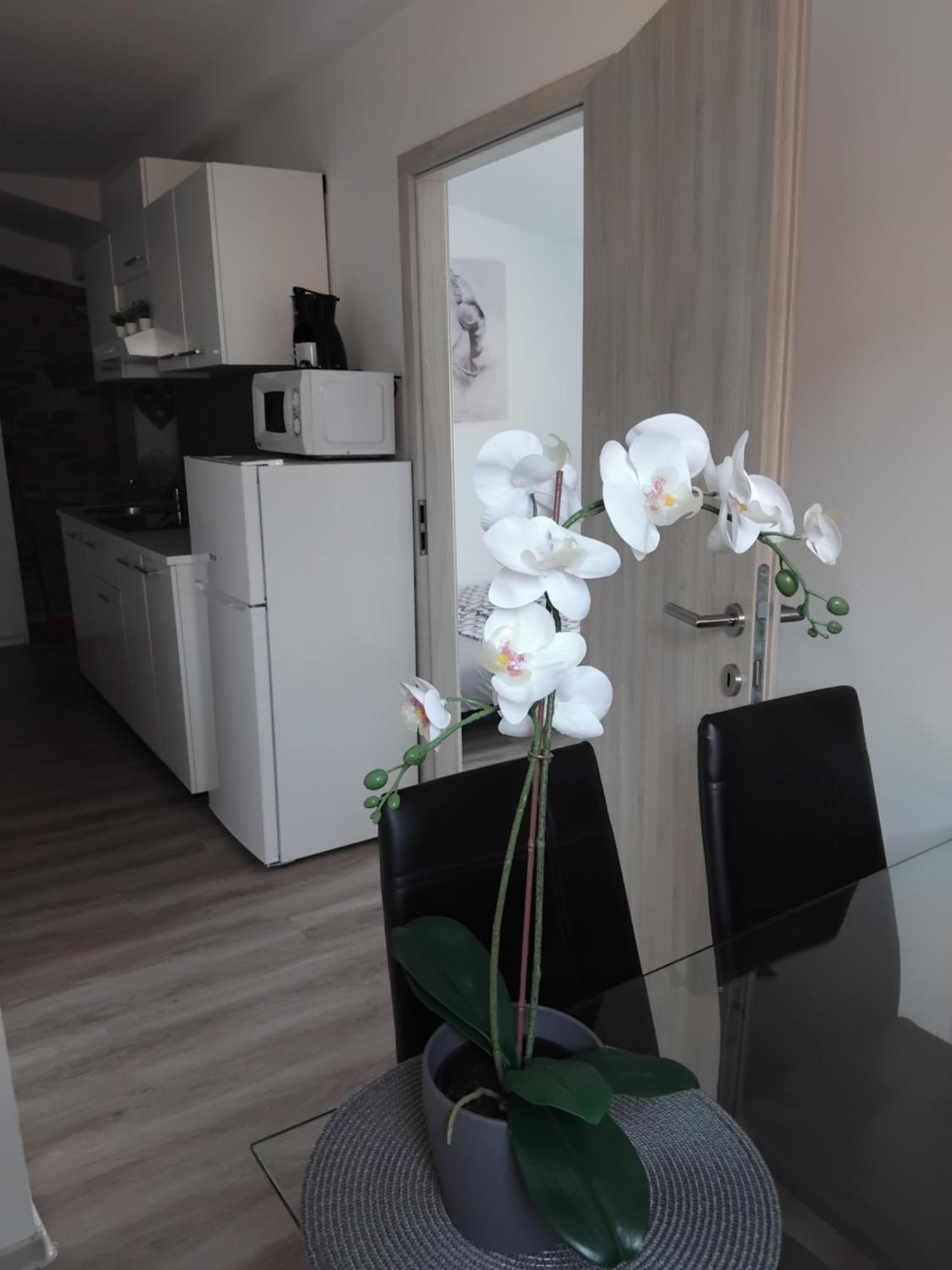 Apartmaja Eva&Pia Koper Exterior foto